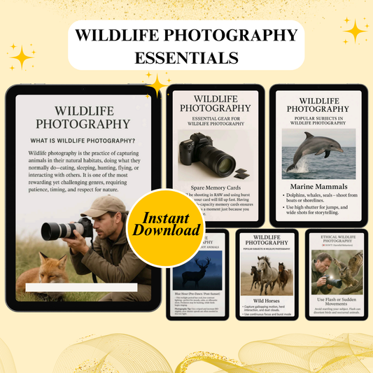 Wildlife Photography Essentials