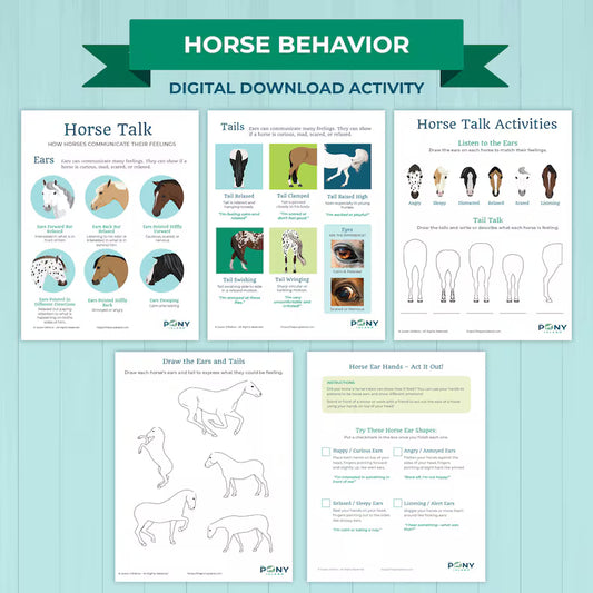 Horse Behavior